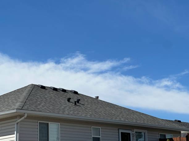 Best Roof Ventilation Installation  in San Martin, CA